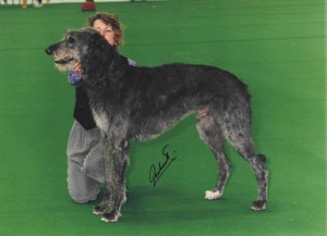 Lennon in Bern, where he became World Champion and second in the group Lennon in Bern, where he became world champion and second in the group