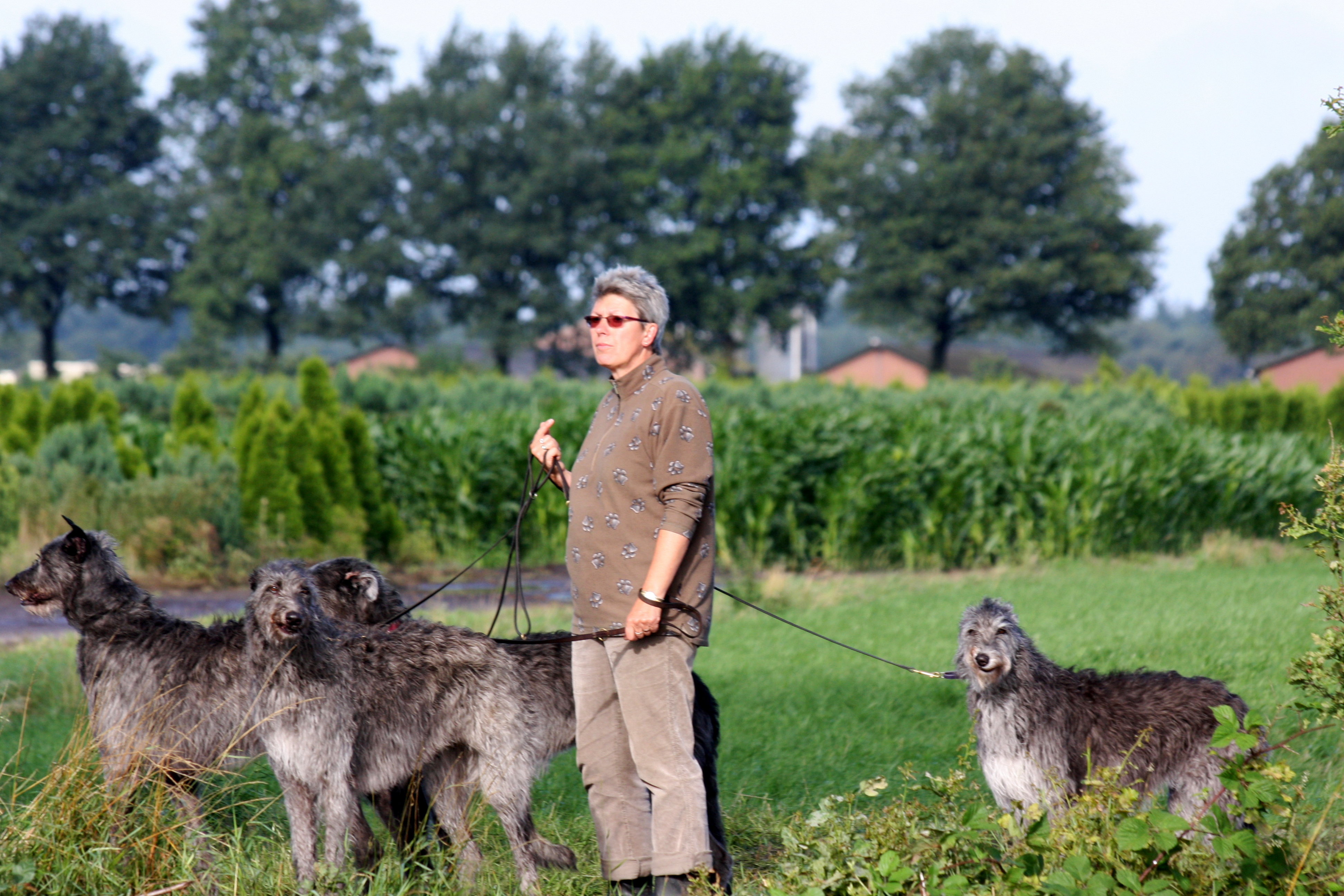 ECM 2011 Sonja with Hounds