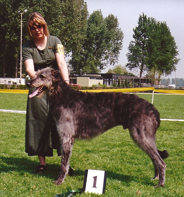 Lennon, First at the Deerhound Clubmatch May 6 - 1995