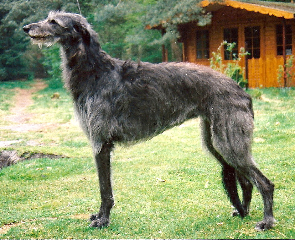 Naughty Prudence of Dirty Mind