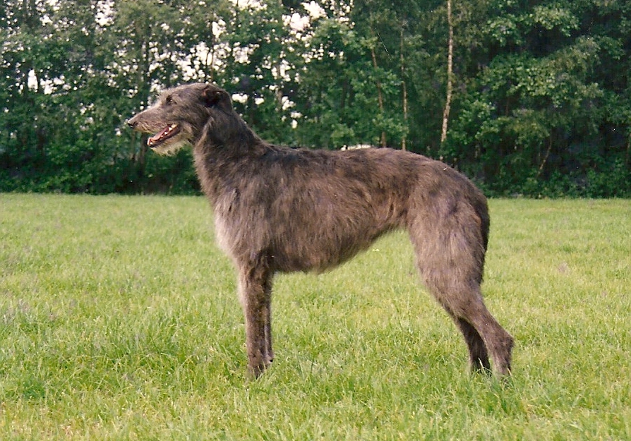 Naughty Prudence of Dirty Mind