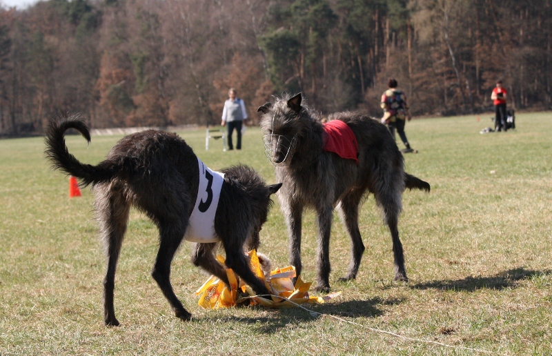 Islay es Ghualainn and Calhoun (red)