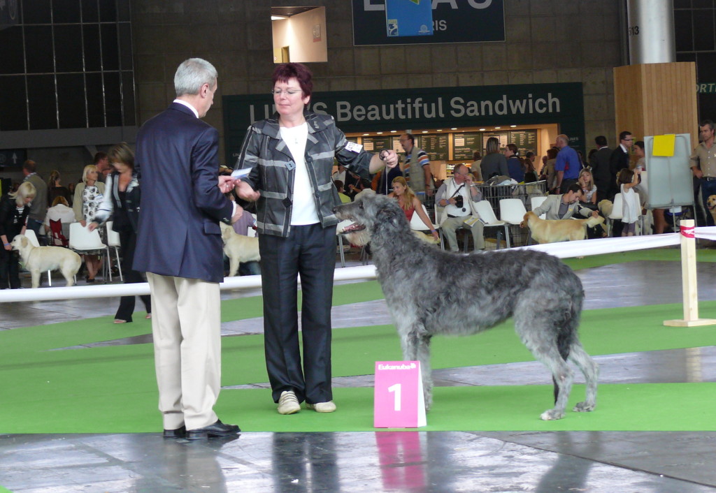 Paris 2011;Cute Coney O'Cockaigne, Veteran World Winner