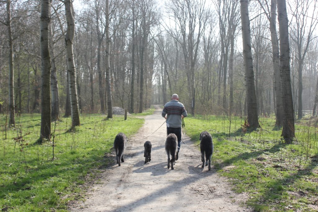 Nostalgic walking on the 'Nienoord Estate'