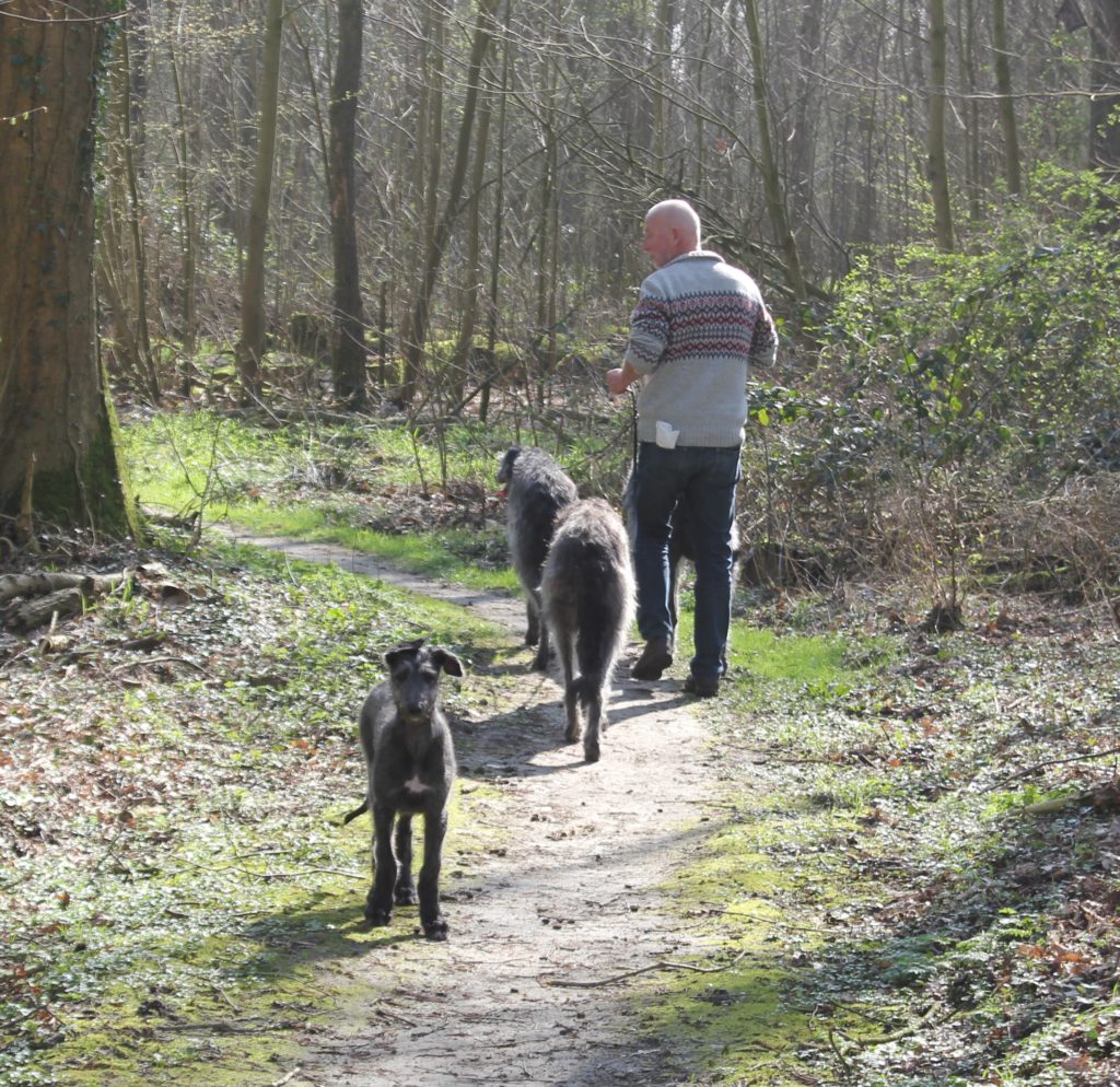 In the forest behind the ice rink
