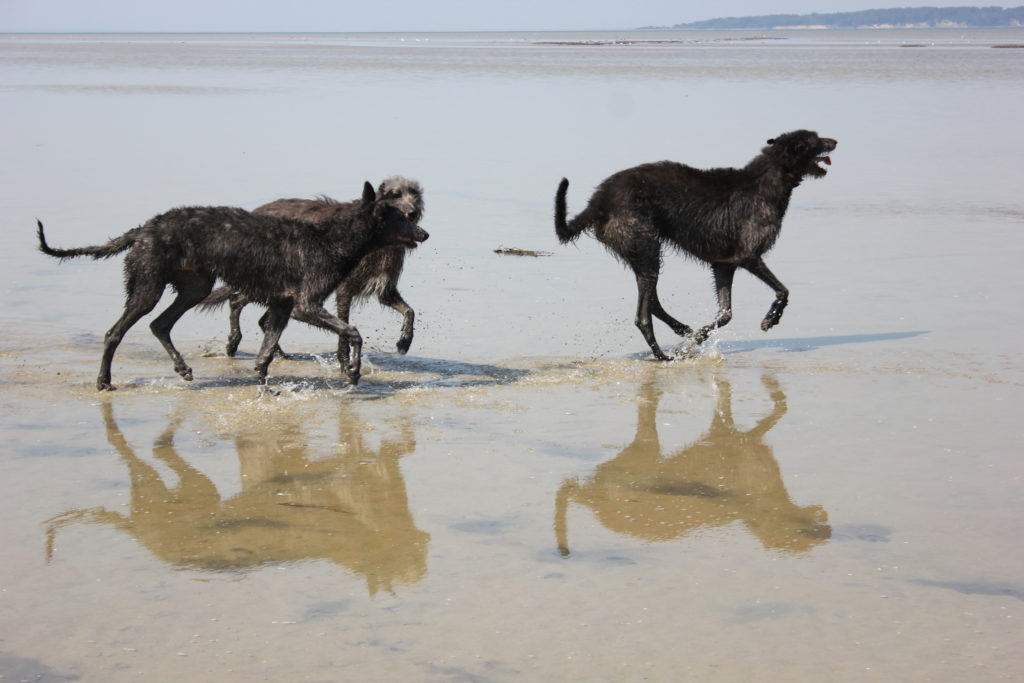 Chidish in front, what a fun he had!