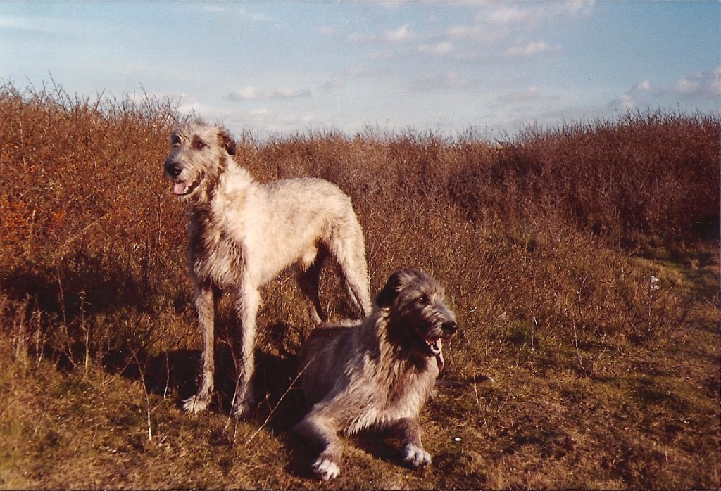 Kerstfoto 1981