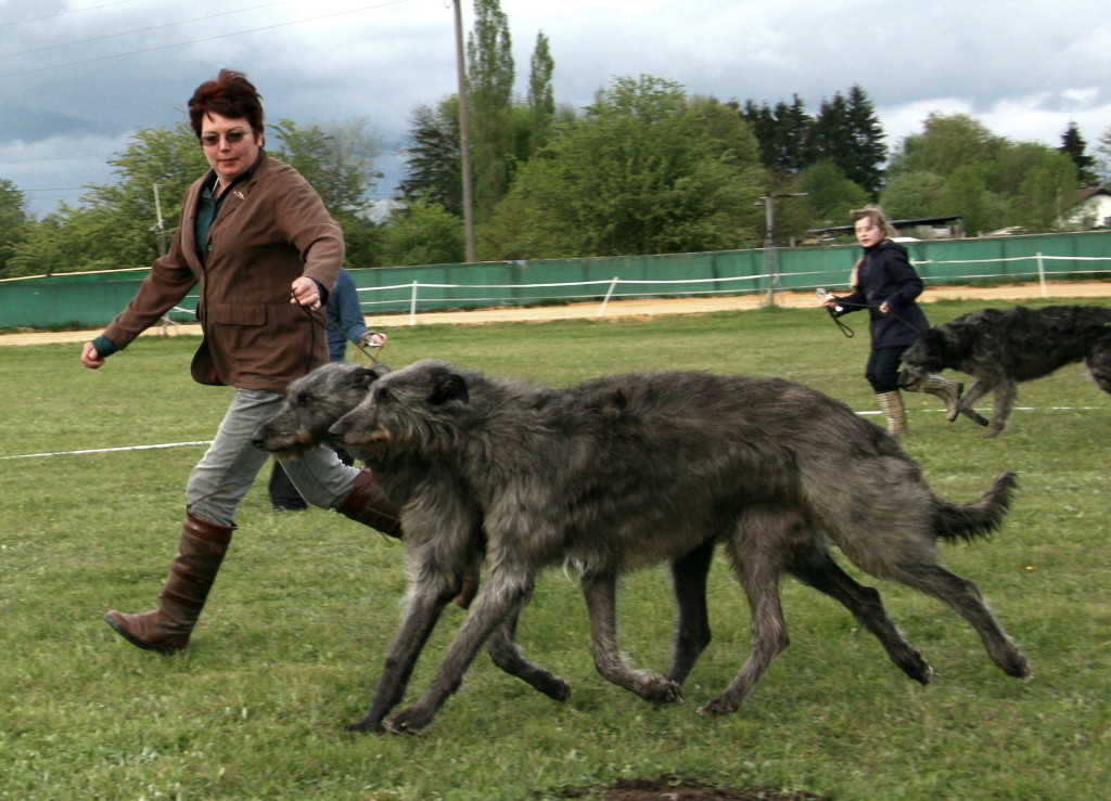 Calhoun und Cheytah in Paarklasse