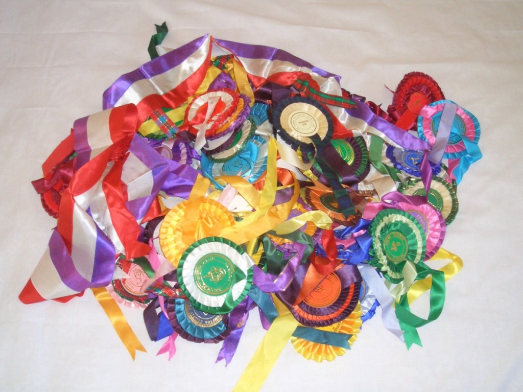 2002 1 heap of rosettes