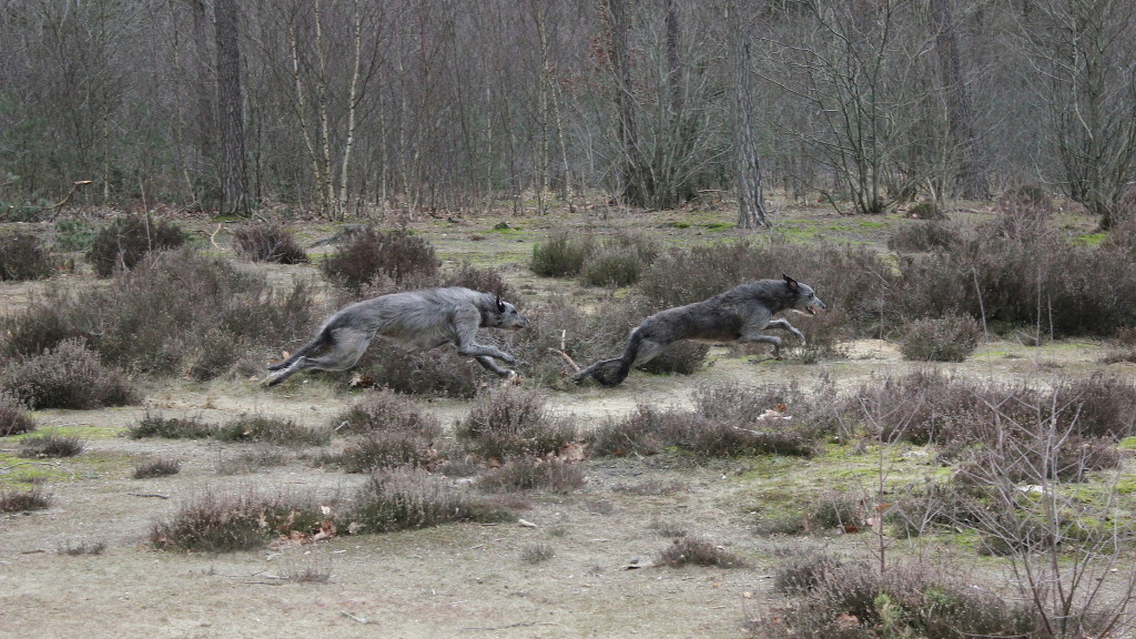 IMG_3219 - kopie